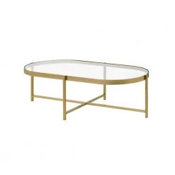 54 in. Gold Oval Glass Coffee Table by Z-joyee